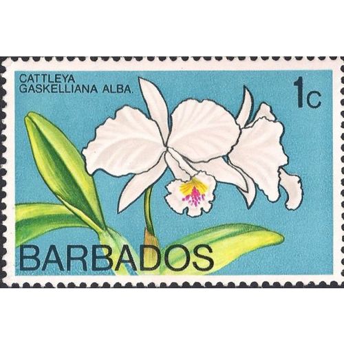 BARBADOS, FLOWER, Cattleya gaskelliana, blue 1974, 1c