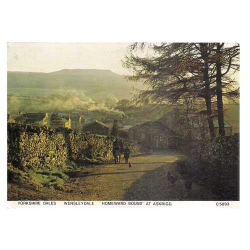 ASKRIGG, WENSLEYDALE, YORKSHIRE unused postcard by Judges =