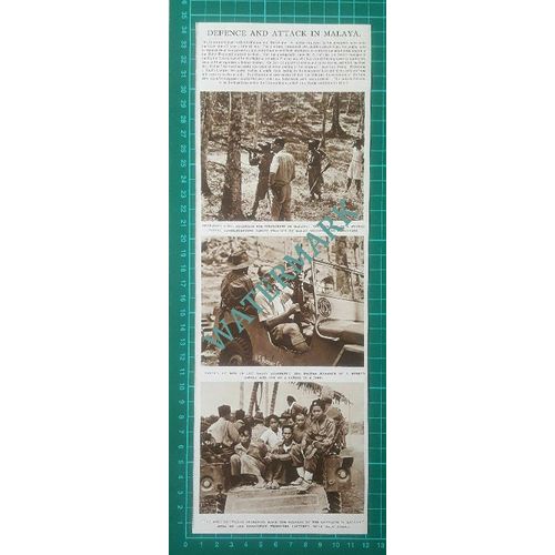 (X389) Malaya Rubber Mr S Herring Dublin Estate - 1948 Clip
