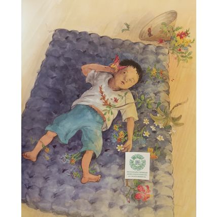 LE PAPILLION DE BOUN de SAATOMI ICHIKAWA FRENCH LANGUAGE PICTURE BOOK
