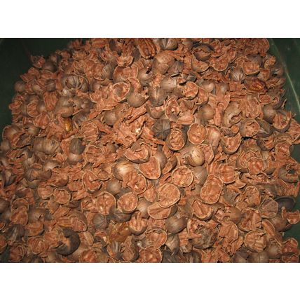 Pecan shells for BBQ smoking pieces 10 pounds