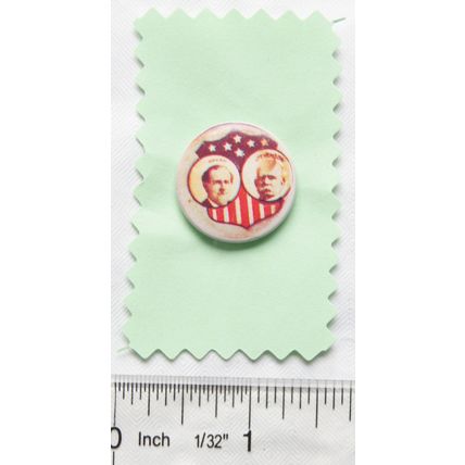 1976 U.S.A. Political Campaign Pin Badge - Bryan - Stevenson