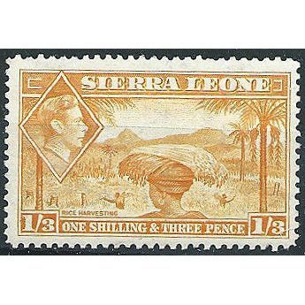 Sierra Leone 1938 SG196a 1/3d Yellow-Orange Mounted Mint ....