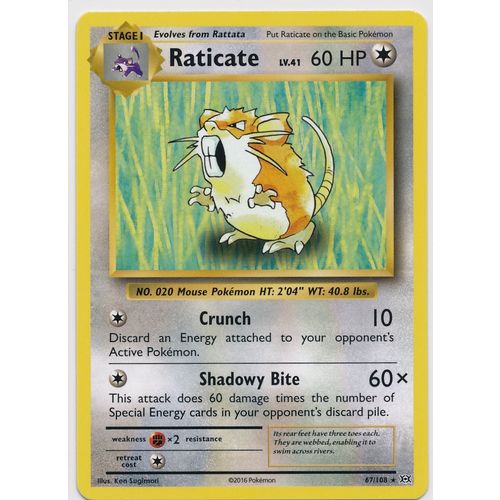 Pokemon XY Evolutions 67/108 Raticate