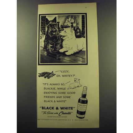 1949 Black & White Scotch Ad - Cozy, eh, whitey?