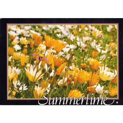 South Africa postcard of flowers. “Summertime”