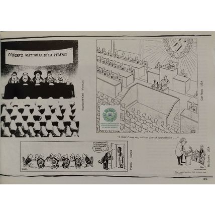 THIN BLACK LINES POLITICAL CARTOONS & DEVELOPMENT EDUCATION by COLM REGAN +