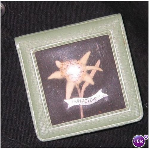 Real Edelweiss Flower Souvenir Matchbook Cover Bavaria