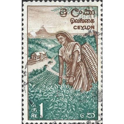 CEYLON, Tea picking, green 1964, 1rupee