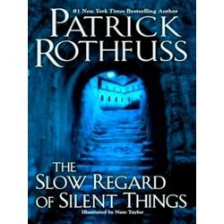 Slow Regard Of Silent Things