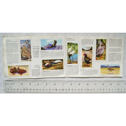 Complete set 50 Brooke Bond Wildlife in Danger in album