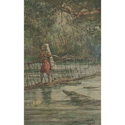 Africa Child Life Series A Native Bridge Crocodiles Old Postcard