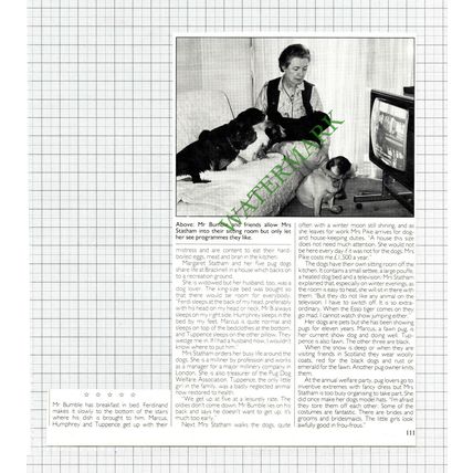 Mrs Margaret Statham Bracknell Berkshire - 1980s Cutting