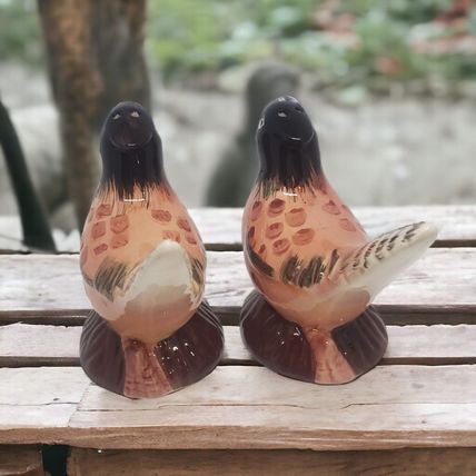 Pheasant Salt & Pepper Shakers - Ceramic - Hand Painted