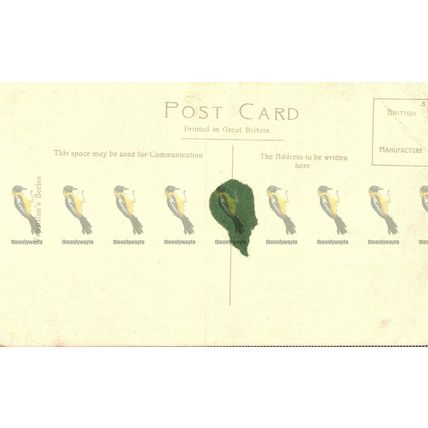 Switzerland View, Matlock Bath, Derbyshire, Valentines Series 17500 jv Postcard