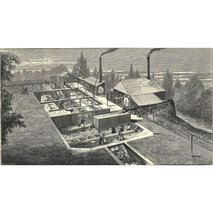 SCENES AT AN AUSTRALIAN SHEEP STATION - COLLAROY NEW SOUTH WALES 1872 ENGRAVING