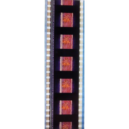 Pokemon . Pk FBP - G0162f . 1 STRIP OF 5 - 35MM FILM CELLS