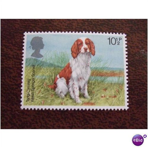 1979 GB Dogs Welsh Springer Spaniel unused mint stamp SG1076