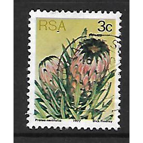 SOUTH AFRICA 1977 SUCCULENTS 3c P NERII FOLIA SG 416 FINE USED