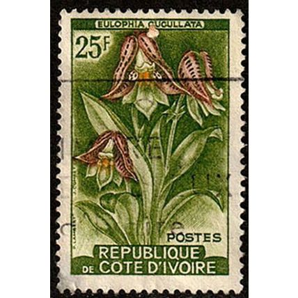 Ivory Coast 1961 Flowers 25F Used Stamp