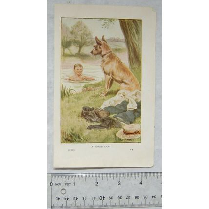 Coloured illustration: A Good Dog