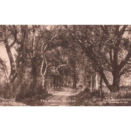 The Avenue Stutton Selby North Yorkshire Antique 1932 Postcard