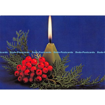 D030776 Merry Christmas. Gonczo Andras. Kepzomuveszeti Alap Kiadovallalata. Buda