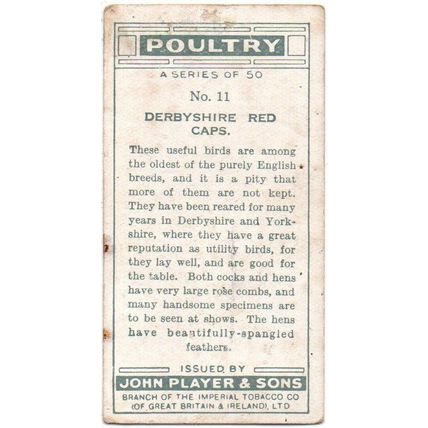 PLAYER'S CIGARETTE CARD POULTRY 1931 No. 11 DERBYSHIRE RED CAPS