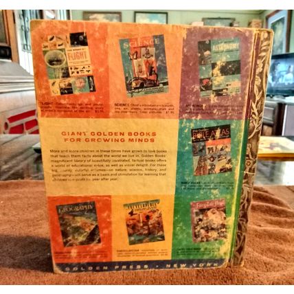 Old Vintage Little Golden Book Walt Disney's Toby Tyler (B) Second Edition 1960