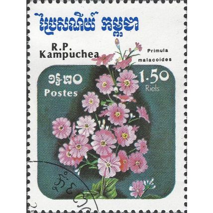 CAMBODIA, FLOWER, Primula Malacoides, blue 1985, 1.50R