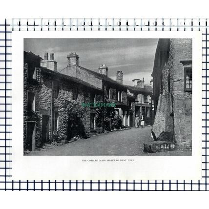 Dent Cumbria - 1951 Cutting / Print