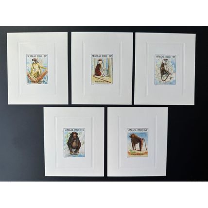Sénégal 1996 Mi.1447 - 1451 Epreuve de Luxe Proof Faune Singes Primates RARE MNH