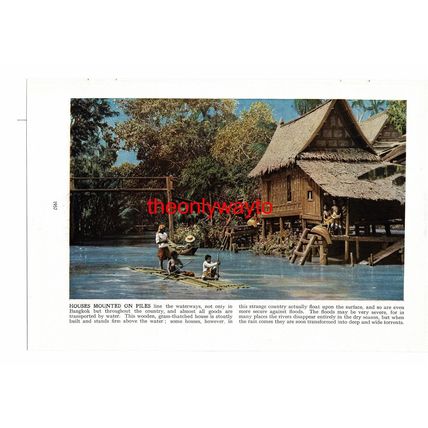 Houses On Stilts In Bangkok, Thailand, Book Illustration (Print), c1920