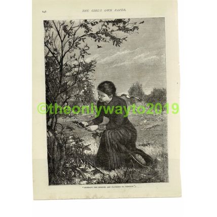 Berry Picking, Book Illustration (Print), 1881/2
