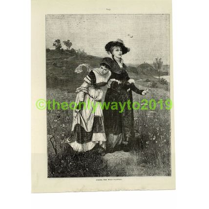 Among the Wild Flowers, Book Illustration (Print), 1881/2