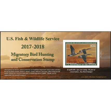 RW84A, 2018 Canada Geese Federal Duck Stamp Self-Adhesive Pane - Stuart Katz