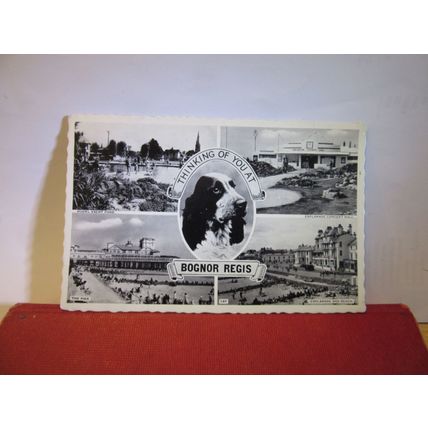 multiview, BOGNOR REGIS, SUSSEX used vintage postcard 1960 pm spaniel dog =