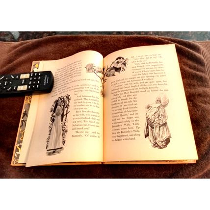 Children's Book Just So Stories Series The Butterfly That Stamped 1947