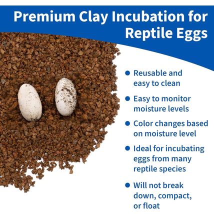 Pangea Hatch Premium Reptile Egg Incubation Substrate (1 Lb) (Package May Vary)