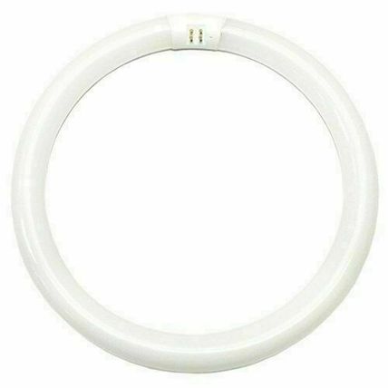 Fluorescent Tube Ligt Bulb 20113 - FC8T9/DCW/RP Circular T9