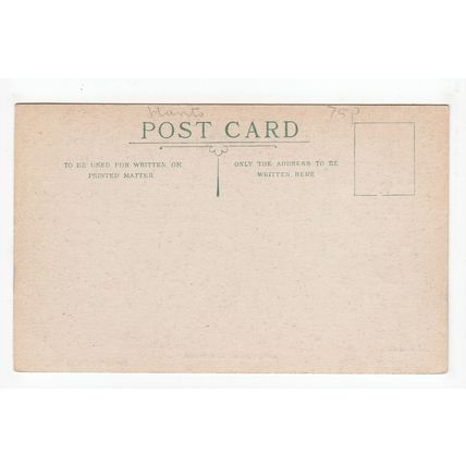 Rufus Stone New Forest Hampshire Howard's Series Postcard 311