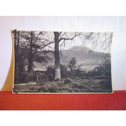 CHANCTONBURY RING, THE SOUTH DOWNS, SUSSEX unused postcard by Judges =