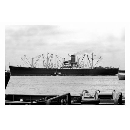 mc5092 - United States Lines Cargo Ship - Pioneer Cove - photograph 6x4
