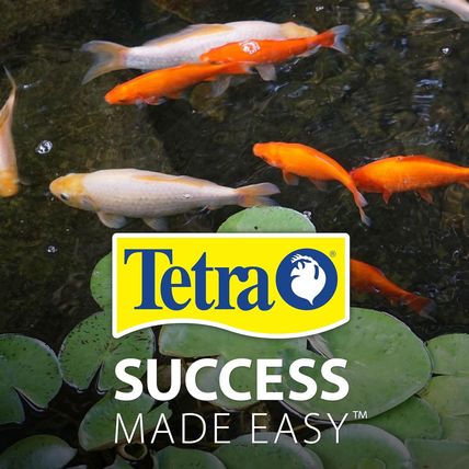Tetrapond Koi Vibrance, Soft Sticks, Easy to Digest Floating Pond Food, 5.18 Lbs
