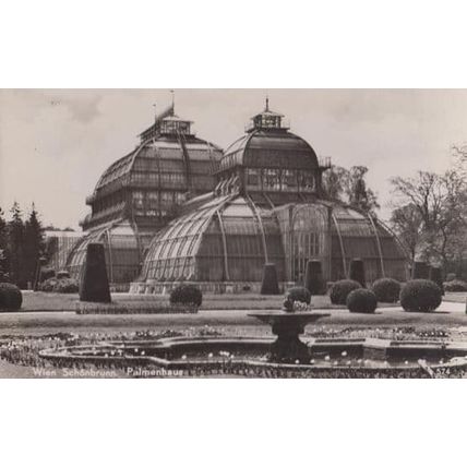Wien Schonbrunn Palmerhaus Real Photo Postcard