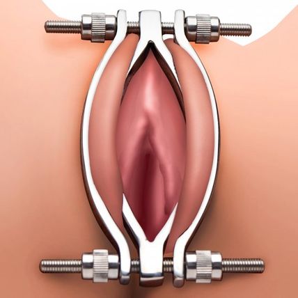 Stainless Steel Adjustable Pussy Clamp BDS&M Master Series torment Torture BDSM