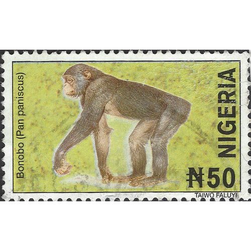 NIGERIA, MAMMAL, Bonobo, Pan paniscus, yellow 2001, N50, #3