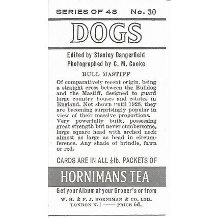 Dogs 1961 Hornimans Tea Card 30 - Bull Mastiff