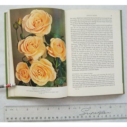 1966 The Rose Annual, The Royal National Rose Society