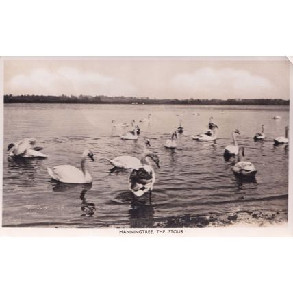 Manningtree The Stour Essex Vintage Real Photo Postcard